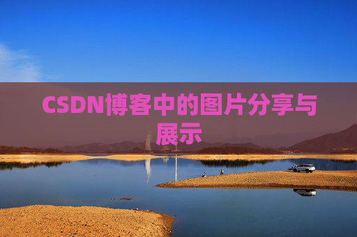CSDN博客中的图片分享与展示